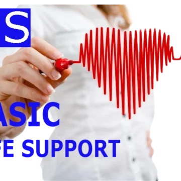 სიცოცხლის გადარჩენის საბაზისო ალგორითმი (BLS)
