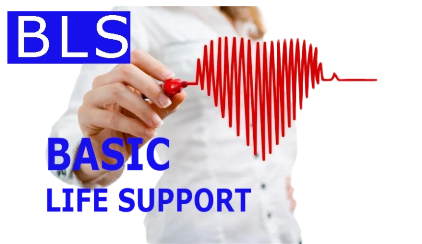 სიცოცხლის გადარჩენის საბაზისო ალგორითმი (BLS)