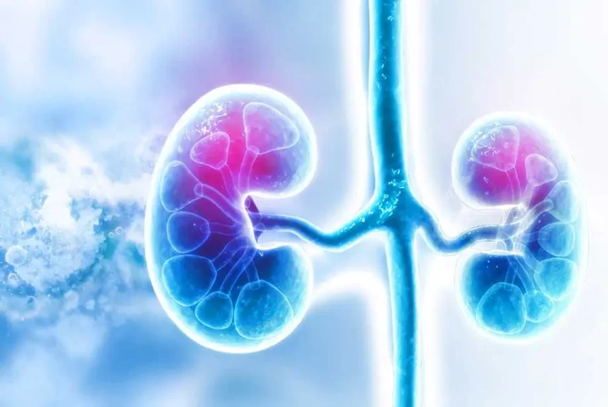 ნეფროზული სინდრომი